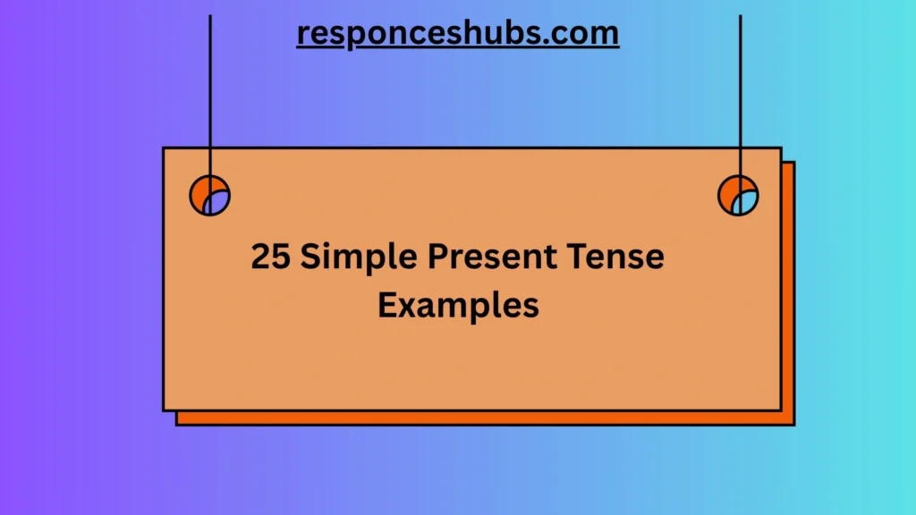 Simple Present Tense Examples
